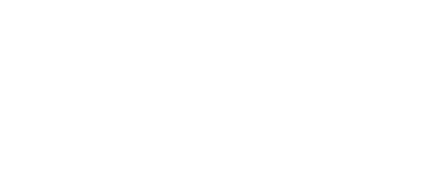 Logo-NS-12.webp